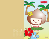 8月壁紙