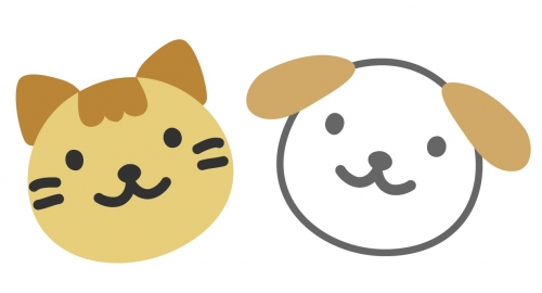 わんにゃんずきっちん 青沼　ゆき