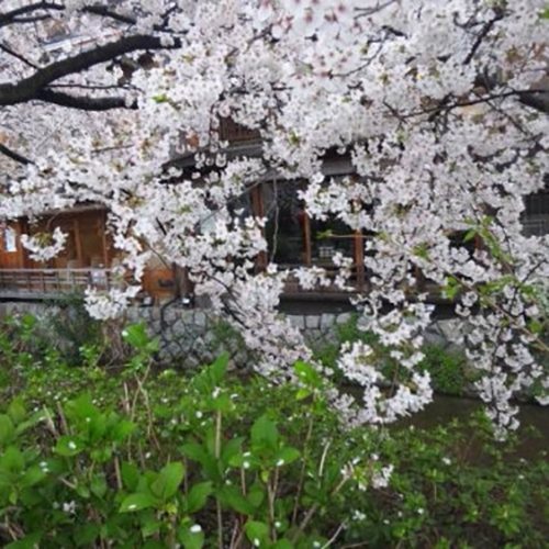 小林