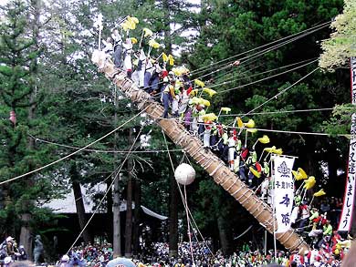 諏訪大社 御柱祭 建て御柱