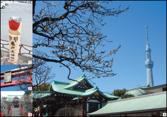 [1]天神様への道を案内する鷽　[2]紅梅(H24.2.19)　[3]白梅(H24.3.11)　[4]白梅(H24.2.19)(撮影／田島麗子)