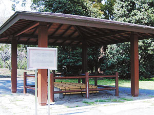 小石川養生所 井戸跡 (小石川植物園内)