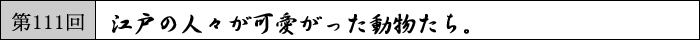 江戸の人々が可愛がった動物たち。