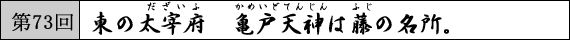 第73回 東の太宰府　亀戸天神は藤の名所。