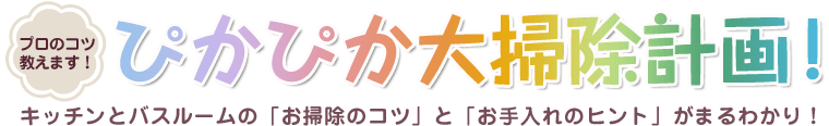 プロのコツ教えます！　ぴかぴかお掃除計画！　キッチンとバスルームの「お掃除のコツ」と「お手入れのヒント」がまるわかり！