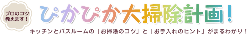 プロのコツ教えます！ぴかぴか大掃除計画！2013　キッチンとバスルームの「お掃除のコツ」と「お手入れヒント」がまるわかり！