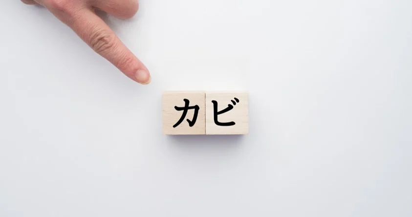 何とかしたい!夏のキッチン カビ・ヌメリ対策